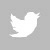 twitter icon
